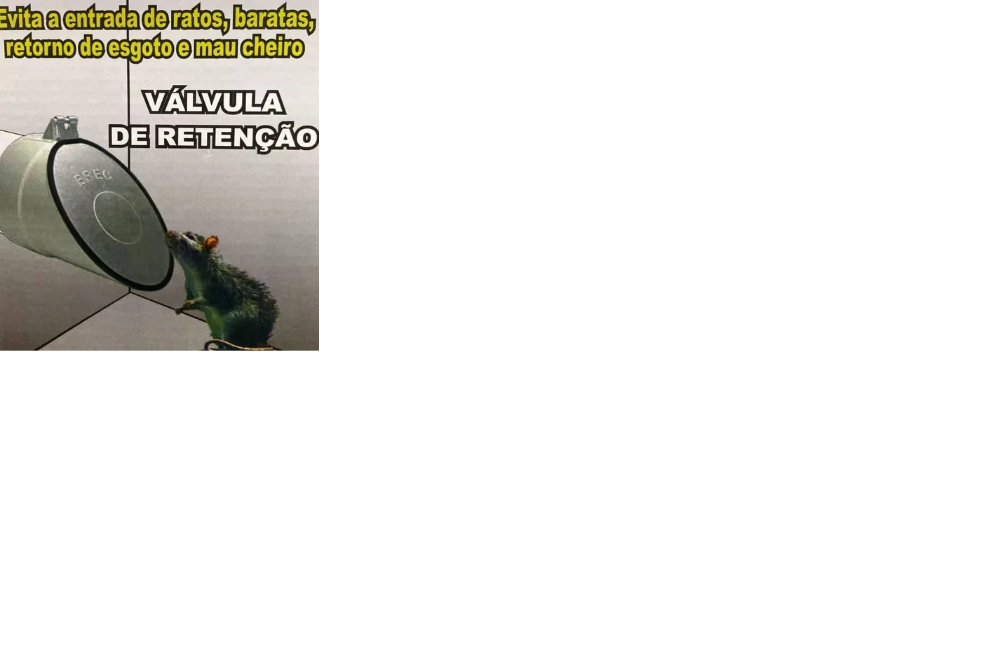 Esgoto Valvula Retencao 100MM Brec Tampa Aluminio - Imagem 2