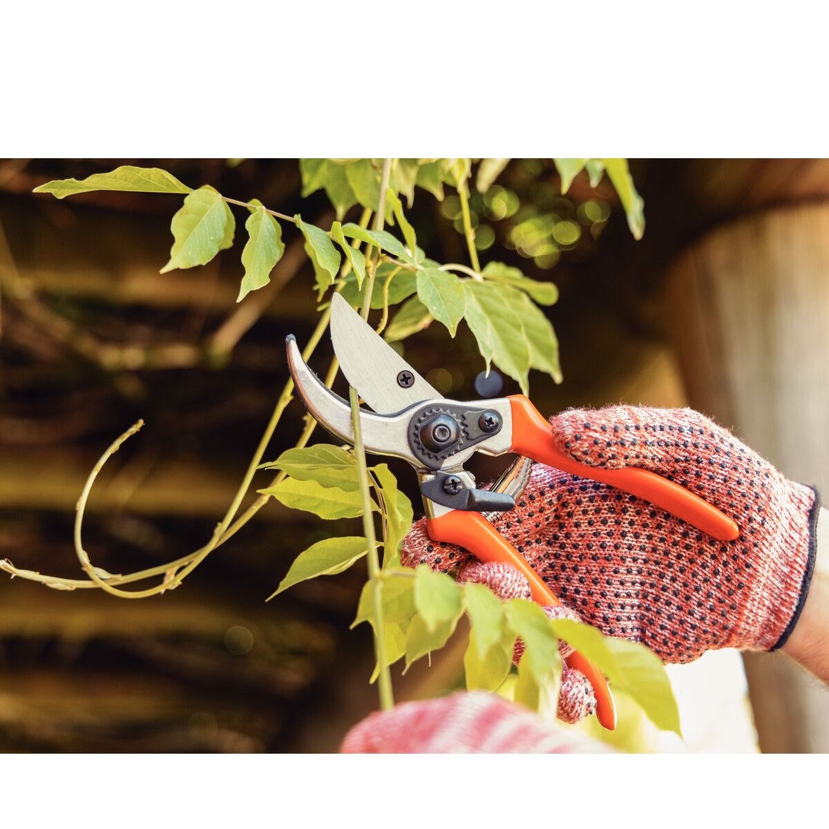 Tesoura de Poda Profissional Tramontina 78304511 - Imagem 4